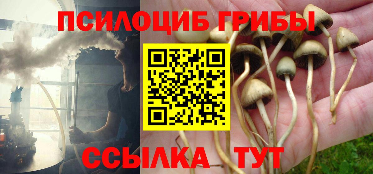 Галлюциногенные грибы ЛСД  Вход с VPN  Татарск 