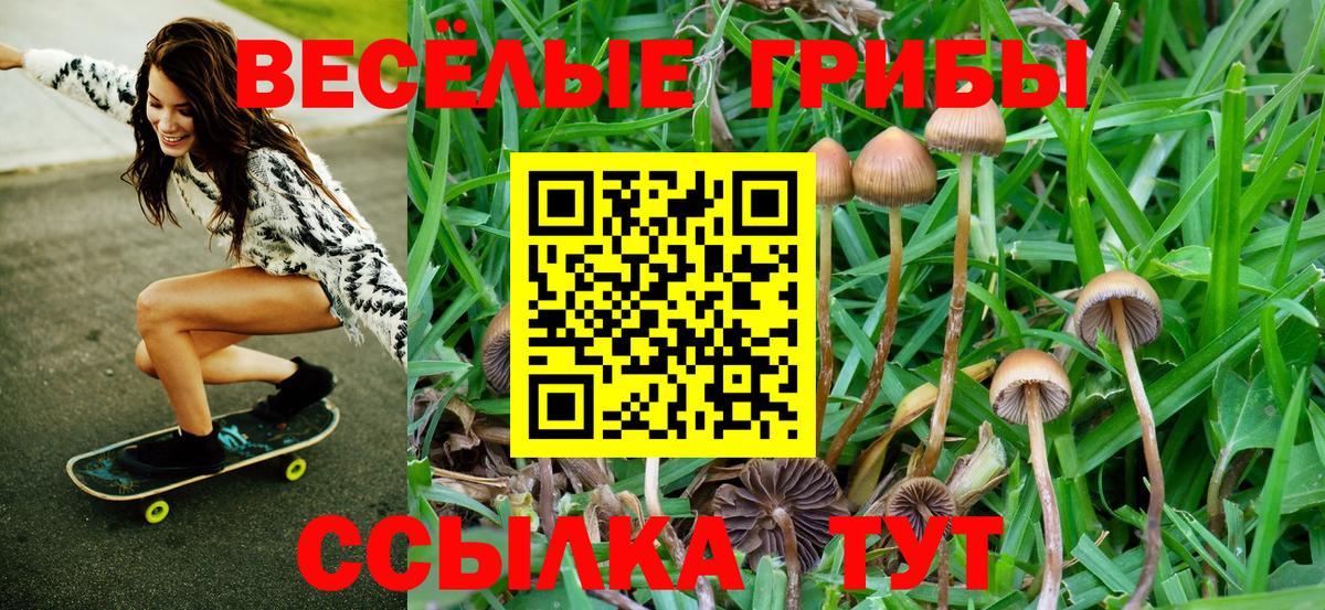 Галлюциногенные грибы мицелий Татарск